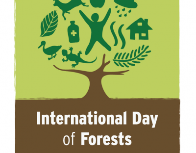 21 березня - Міжнародний день лісів