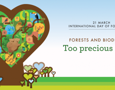 Мiжнародний День лiciв на Львiвщинi