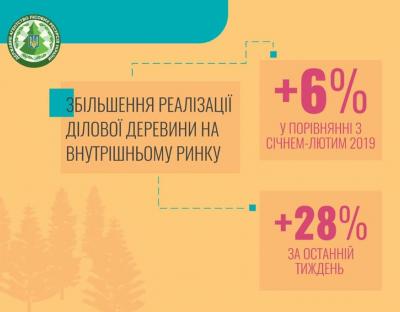 Ми послідовно працюємо, щоб забезпечити український деревообробний бізнес необхідною сировиною, - Голова Держлісагентства