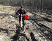 На Львівщині проходить весняна лісокультурна кампанія