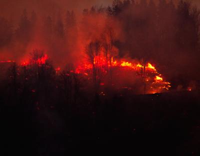 Пожежа в Козьовій: підпалювач встановлений