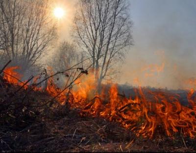 Шановні краяни!