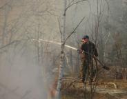 Держлісагентство: за вихідні лісівники 60 разів виїжджали на гасіння лісових пожеж