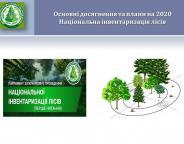 Законопроект щодо запровадження національної інвентаризації лісів готується до другого читання