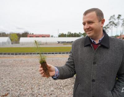 Сіянці хвойних дерев від львівських селекторів висаджують у Європі
