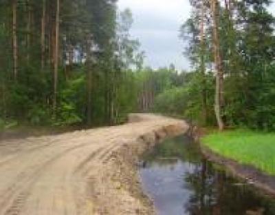 Будівництво лісових доріг в ДП "Радехівське лісомисливське господарство"