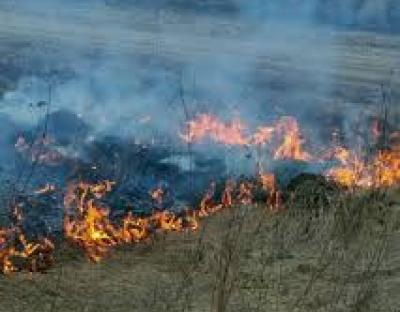 Шановні краяни!