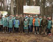На Львівщині висадили понад 132 000 сіянців  головних лісотвірних порід