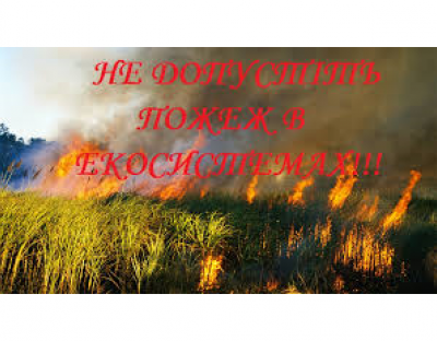 ЗБЕРЕЖЕМО  ЗДОРОВ’Я  І  ЛІСИ  РАЗОМ