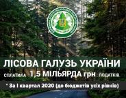 Держпідприємства лісової галузі сплатили 1,5 млрд гривень податків