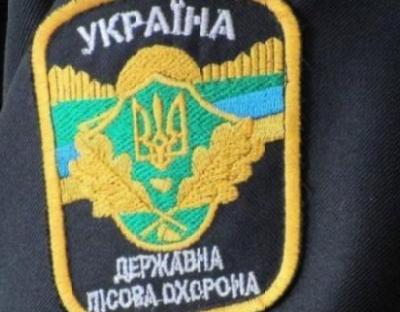 Робота державної лісової охорони – на постійному контролі!