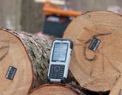 Електронний облік деревини на підприємствах Львівського ОУЛМГ