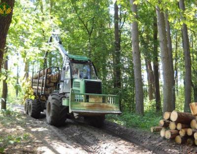 Підсумки заготівлі деревини за 6 місяців 2022 року