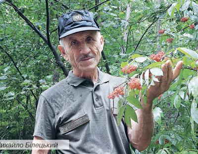 Причетність до лісового завтра