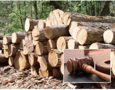 Торги необробленою деревиною заготівлі першого кварталу 2022 року