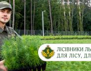 2020 рік: здобутки лісівників Львівщини