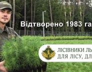 Лісівники на Львівщині відновили 1983 га лісів