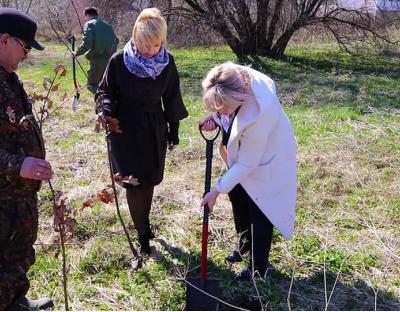 На Львівщині триває місячник озеленення та благоустрою (відео)