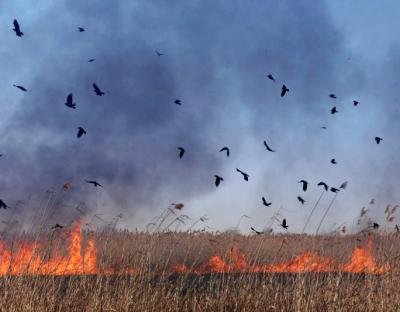 Шановні громадяни!