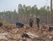 Українським лісам бути! (відео)