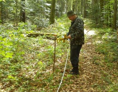 Роботи з відведення і таксації лісосік рубок головного користування  2020 року на завершенні