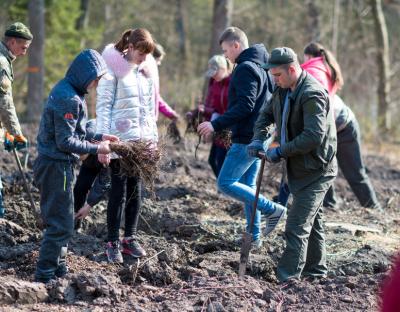Підсумки роботи ДП "Старосамбірське лісомисливське господарство" за 2019 рік
