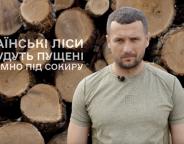 Відео: Голова Держлісагентства Юрій Болоховець про заготівлю дров на зиму