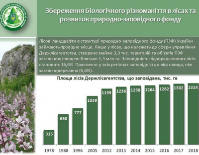 У лісах Держлісагентства створено понад 3 тис. територій та об'єктів ПЗФ, - Володимир Бондар