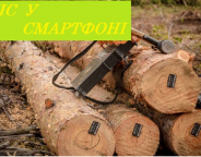 Ліс у смартфоні: Держлісагентство запустило пілотний проєкт e-реєстру заготівлі деревини та онлайн-карту рубок