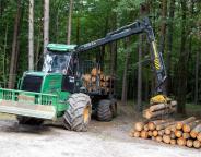 Ресурси деревини - для лісового сектора Львівщини