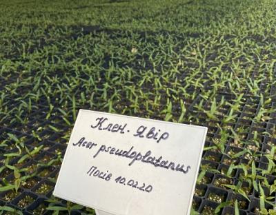 Будемо з лісом!