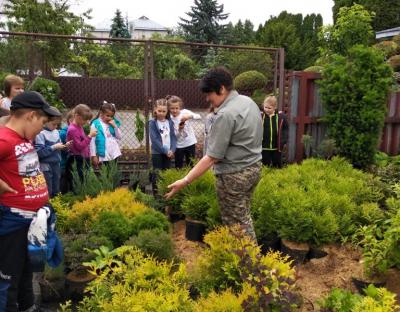 У Бродівському лісгоспі школярам продемонстрували технологію вирощування садивного матеріалу
