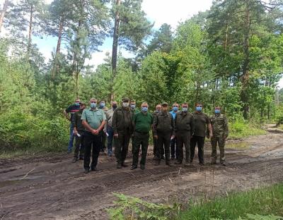 Розробка буреломів в ДП «Рава – Руське ЛГ»