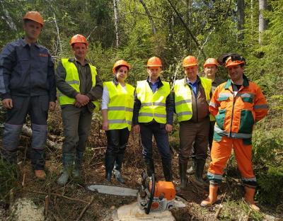 Ризик-аудит безпеки праці  на підприємствах лісового господарства