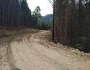 Розробляється програма будівництва лісових автомобільних доріг на  2022-2026 роки 