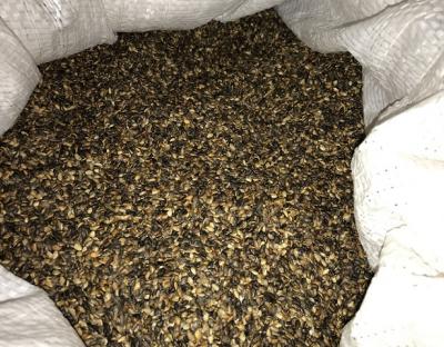 Б’ємо рекорди