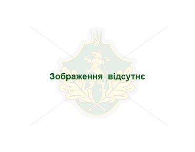 Держлісагентство планує запустити пілотний e-реєстр лісорубних квитків, - Віктор Мельниченко