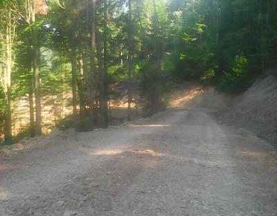 Будівництво лісових доріг у Карпатах