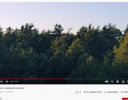 "ЛІС": Один день із головним лісничим (відео)