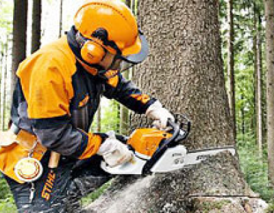 Анонс: 05 липня відбудуться XXI обласні змагання вальників лісу