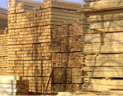 Спад експортних поставок лісоматеріалів