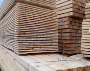 Львівщина здобула перший досвід аукціонних торгів обробленими лісоматеріалами