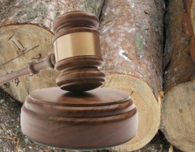 Результати аукціонних торгів