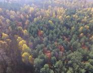 Підсумки господарської діяльності лісогосподарських підприємств Львівського ОУЛМГ за 9 місяців 2020 року