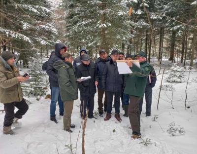 Перспективи проведення рубок переформувань