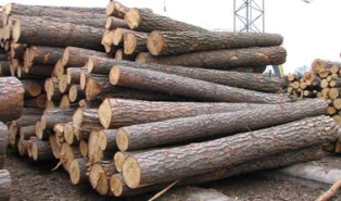 Оперативні дані про хід проведення загальних аукціонів з продажу лісоматеріалів необроблених заготівлі 1 кварталу 2015 року