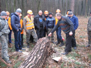 У ДП «Жовківський лісгосп» проведено навчання лісорубів