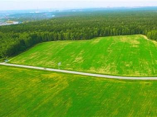 Звернення щодо приватизації державних лісогосподарських підприємств