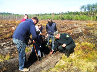 На Львівщині розпочалася весняна лісокультурна кампанія