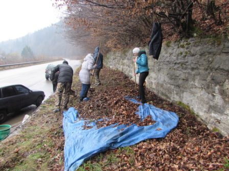 В національному природному парку «Сколівські Бескиди» пройшла акція «До чистих джерел»